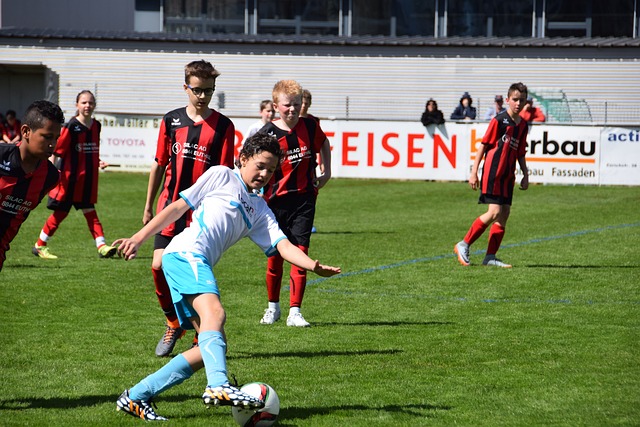 得分进账 得分进账