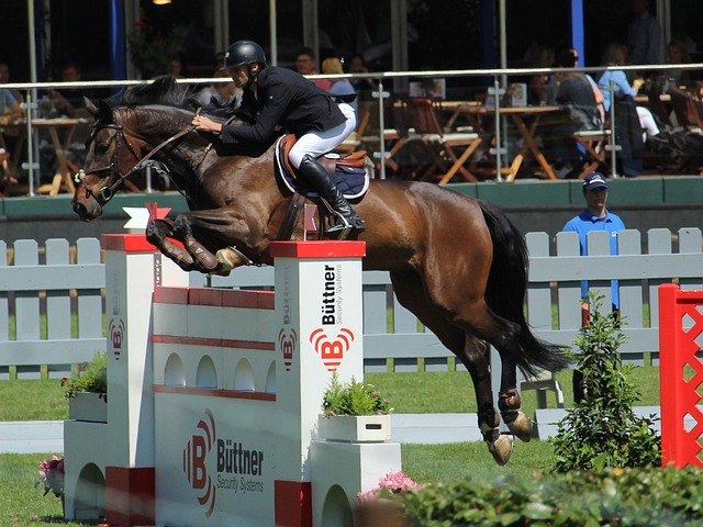 让他能够专 让他能够专