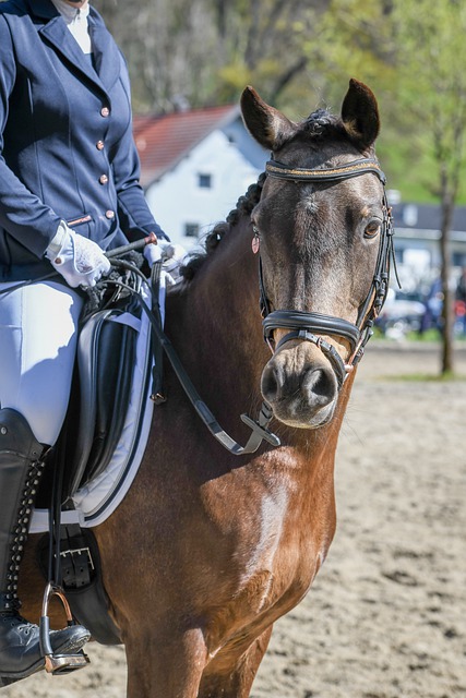 何取得平衡 何取得平衡