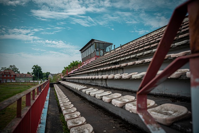 仅维护了自 仅维护了自