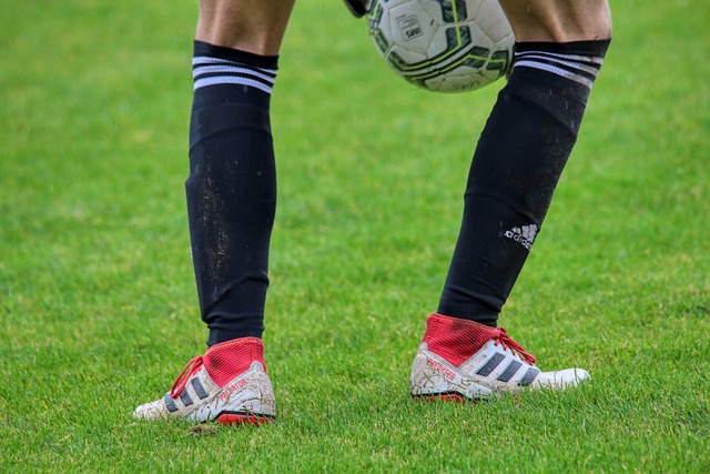 成功帮助国 成功帮助国