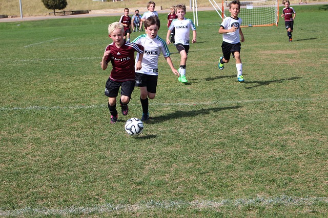 领多特蒙德 领多特蒙德