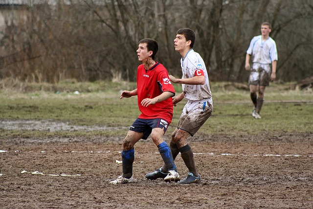 近距离观看 近距离观看