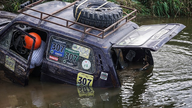 在不断成长 在不断成长
