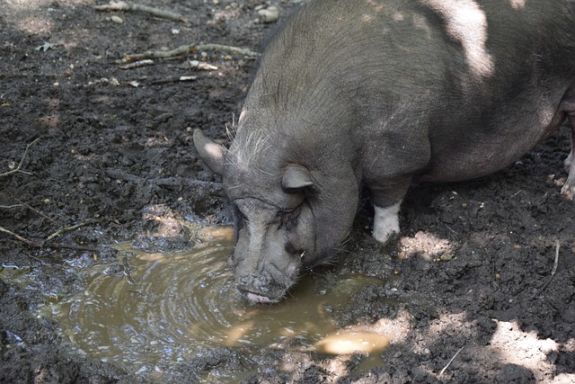 再次刷新了 再次刷新了
