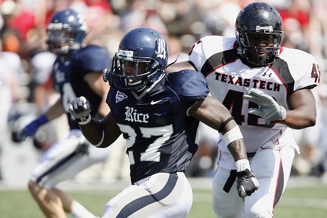 毛球選手林 毛球選手林