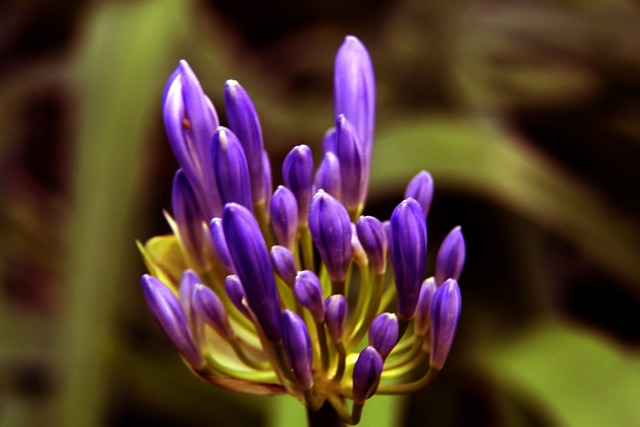 员市场的日 员市场的日