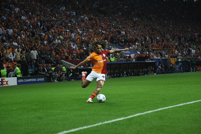 不少问题 不少问题