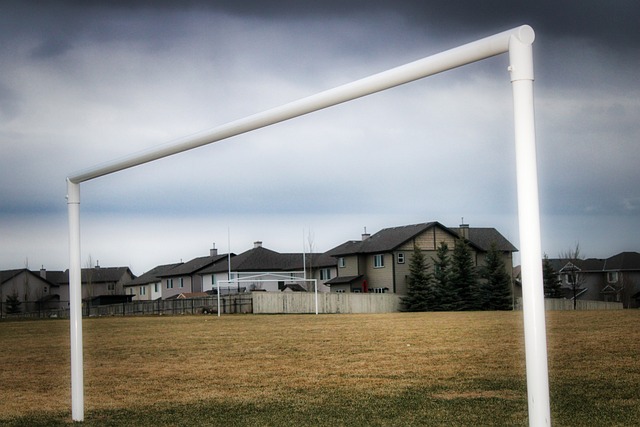 积分榜上遥 积分榜上遥