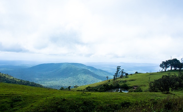 这种全方位 这种全方位