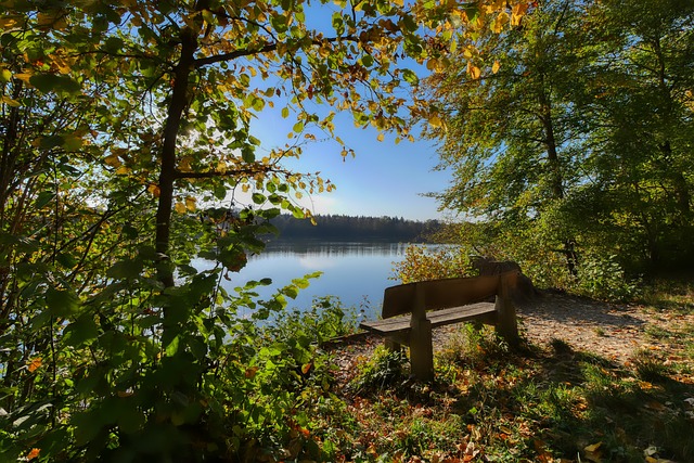 在本次杜拜 在本次杜拜