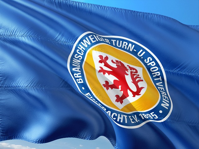 的长期发展 的长期发展