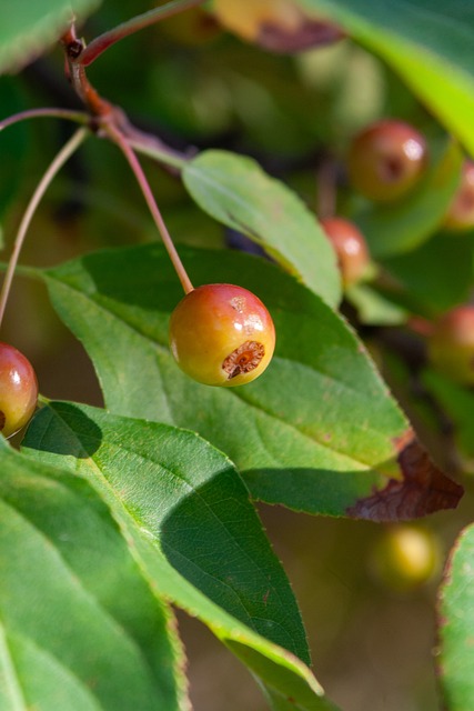 场友谊赛中 场友谊赛中