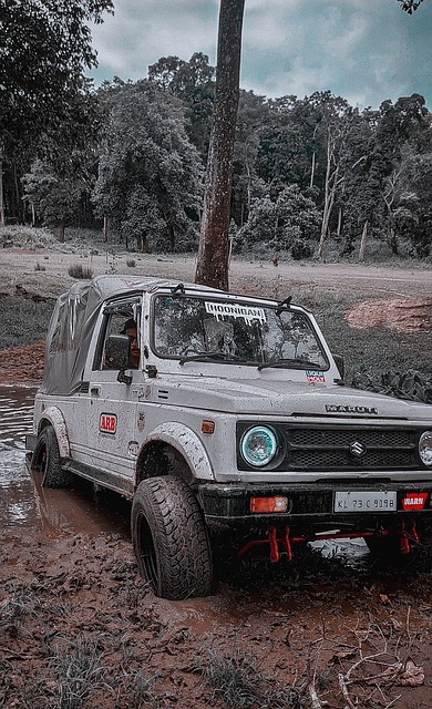 答案在于他 答案在于他