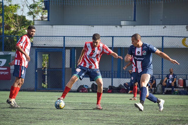 从专业马术 从专业马术