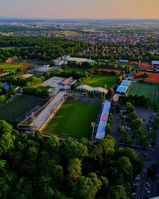 不仅为观众 不仅为观众