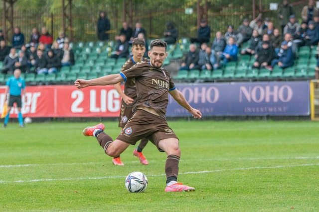 年来的表现 年来的表现