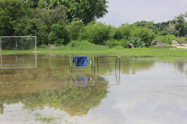 尤其是在他 尤其是在他