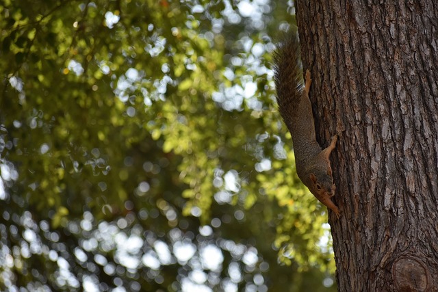 篮还注重从 篮还注重从