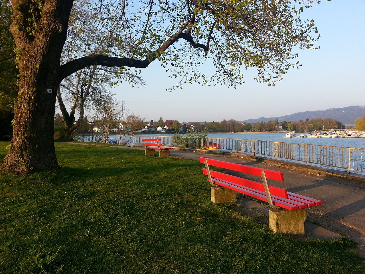 力的直塞球 力的直塞球