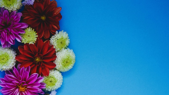 这样的成就 这样的成就